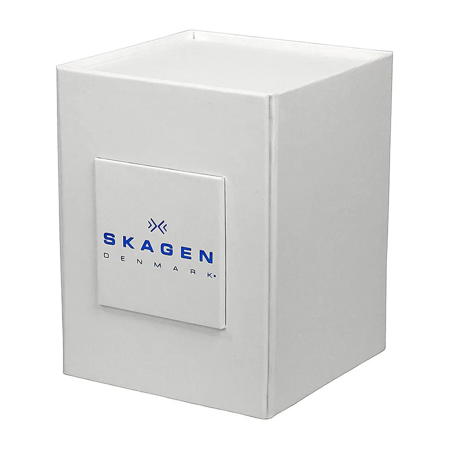 Skagen Classic Chrome Dial Mesh Ladies Watch 358SSSD